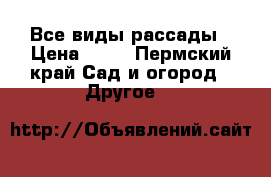 Все виды рассады › Цена ­ 15 - Пермский край Сад и огород » Другое   